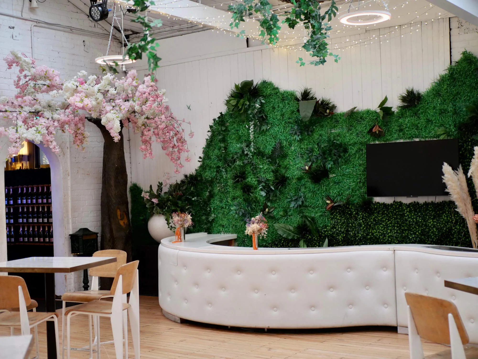 Dracs Den / White Room